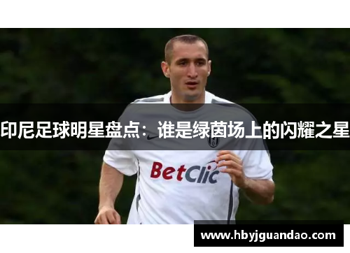 印尼足球明星盘点：谁是绿茵场上的闪耀之星