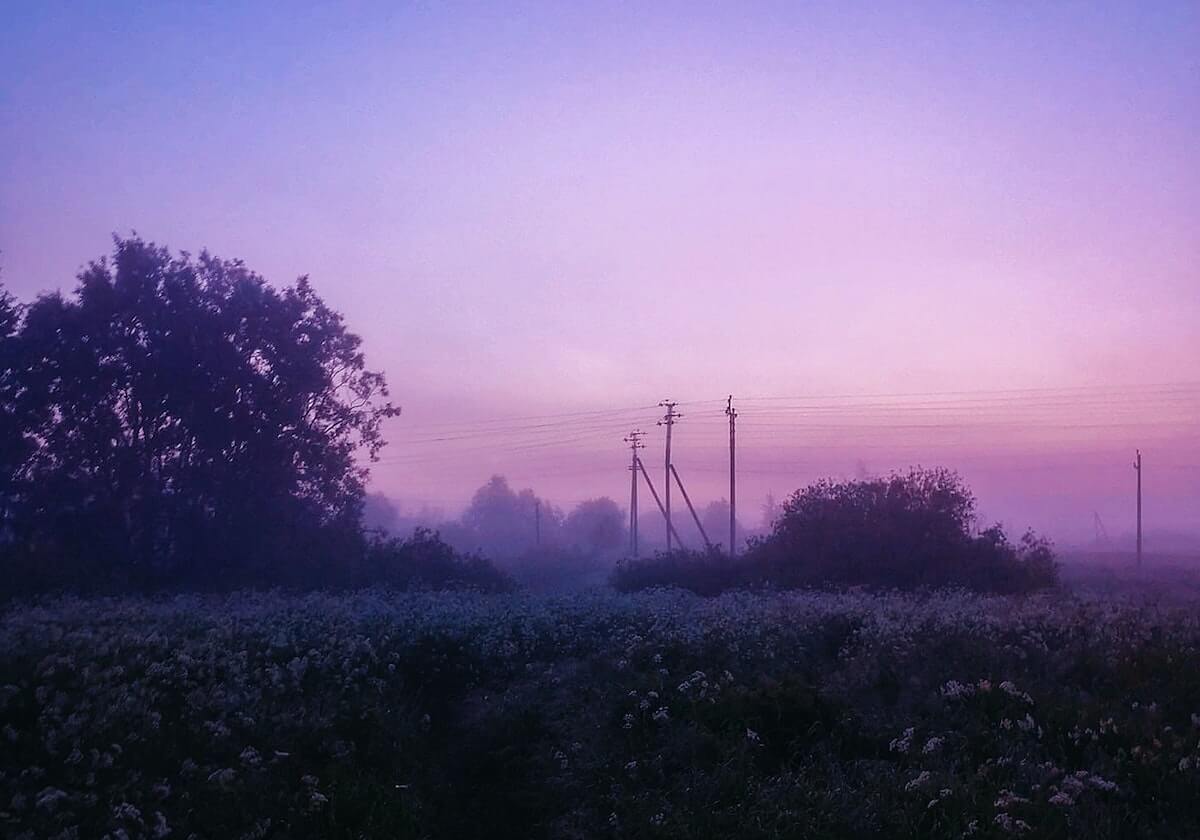 从切尔西帅位热门到弗拉门戈下课,重返切尔西,菲利佩敢再踏雷区